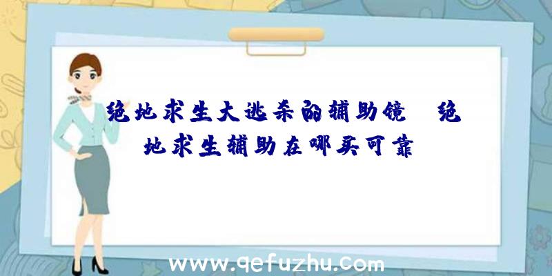 「绝地求生大逃杀的辅助镜」|绝地求生辅助在哪买可靠